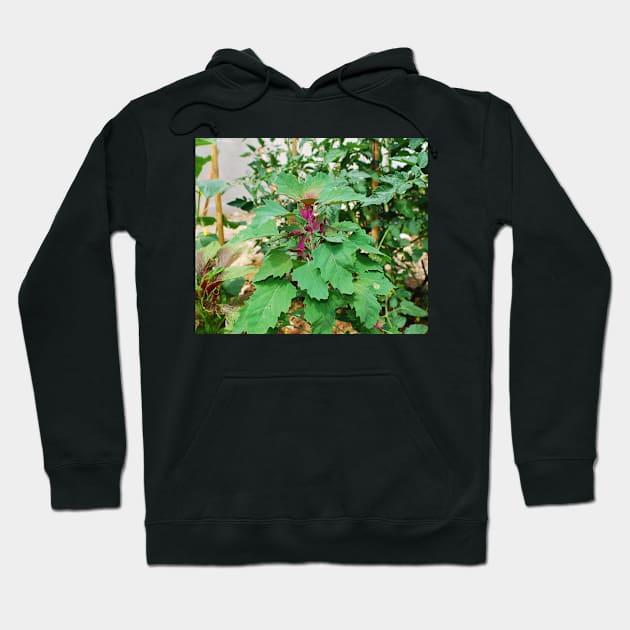 Tree Spinach Hoodie by jojobob